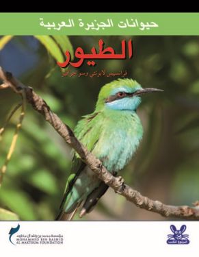حيوانات الجزيرة العربية : الطيور